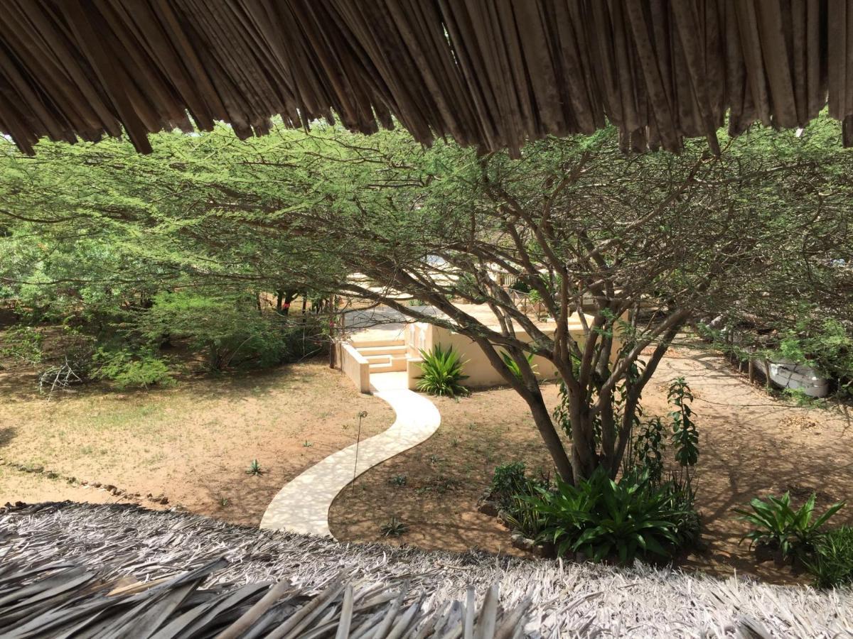 Hotel Mangrove House Lamu Exteriér fotografie