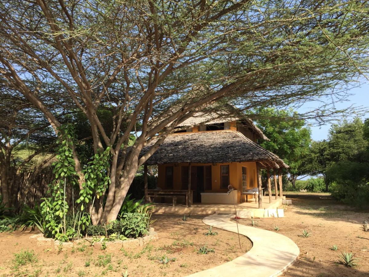 Hotel Mangrove House Lamu Exteriér fotografie